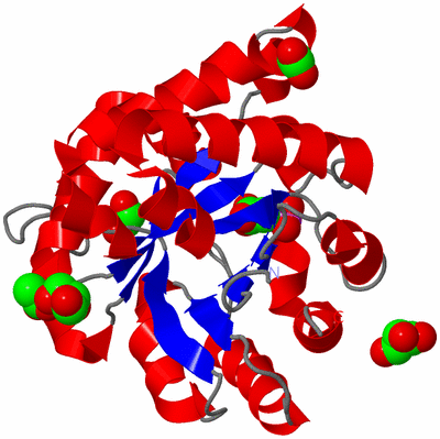 Image Asymmetric Unit