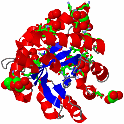 Image Asym. Unit - sites