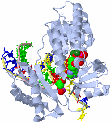 Image Biological Unit 1