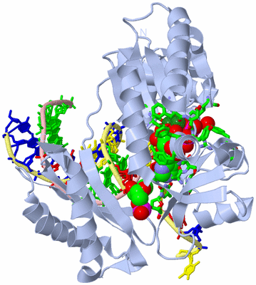 Image Biol. Unit 1 - sites