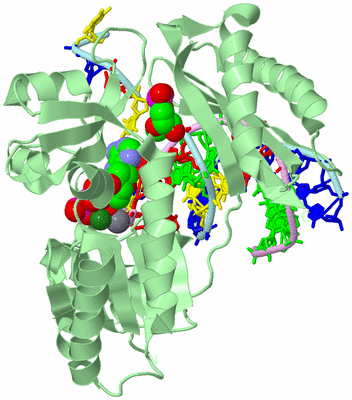 Image Biological Unit 2