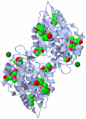 Image Biological Unit 1