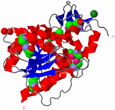 Image Asym. Unit - sites