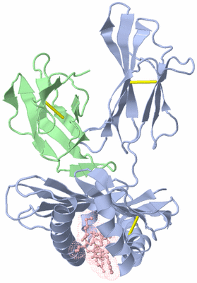 Image Biological Unit 1