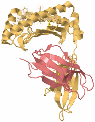 Image Biological Unit 3