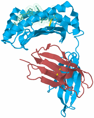 Image Biological Unit 4