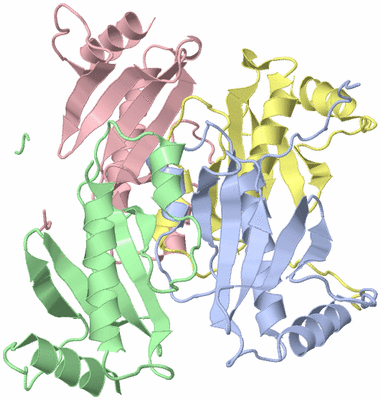 Image Biological Unit 3