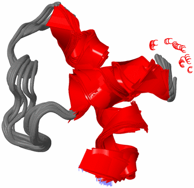 Image NMR Structure - all models