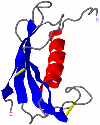 Image NMR Structure - model 1