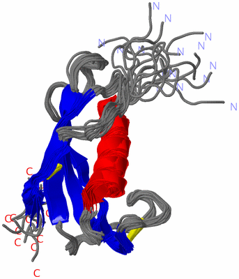 Image NMR Structure - all models