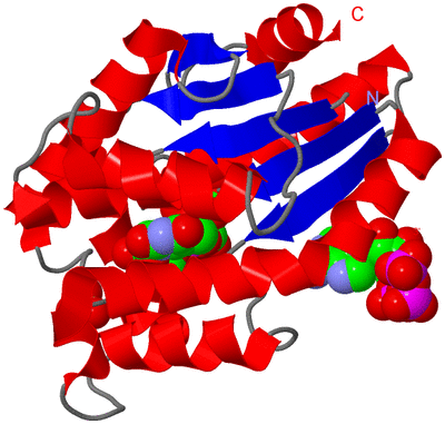 Image Asymmetric Unit