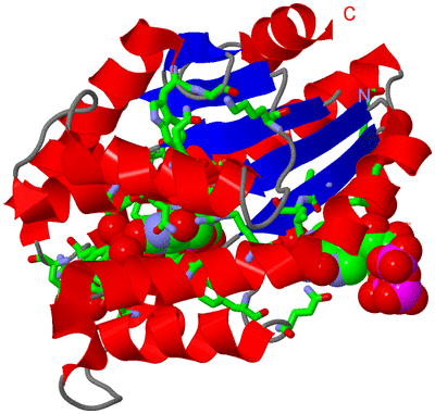 Image Asym. Unit - sites