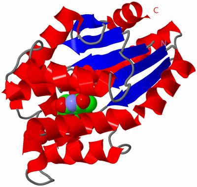 Image Asymmetric Unit