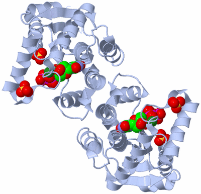 Image Biological Unit 1