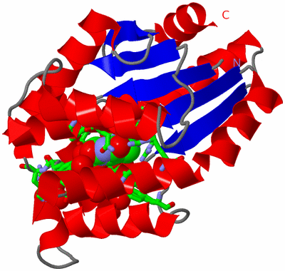 Image Asym. Unit - sites