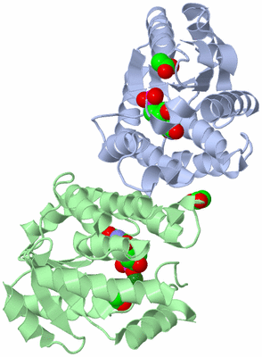 Image Asym./Biol. Unit