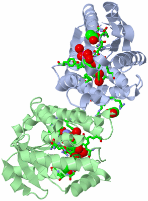 Image Asym./Biol. Unit - sites
