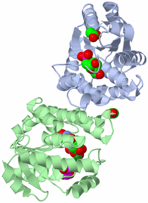 Image Asym./Biol. Unit