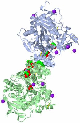 Image Asym./Biol. Unit