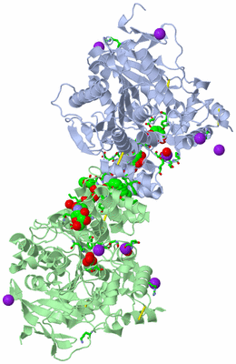 Image Asym./Biol. Unit - sites