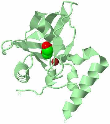 Image Biological Unit 2