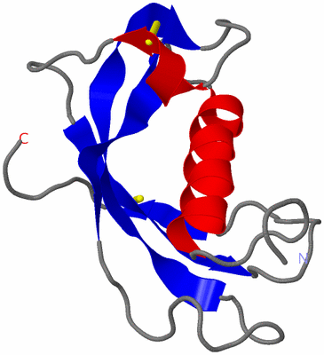 Image NMR Structure - model 1