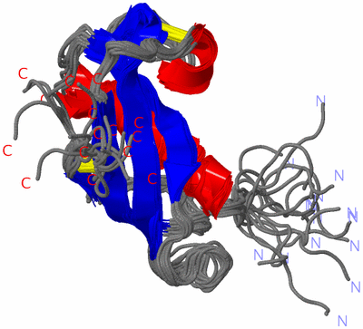 Image NMR Structure - all models