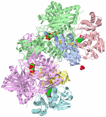 Image Asym./Biol. Unit