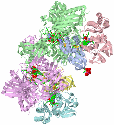 Image Asym./Biol. Unit - sites