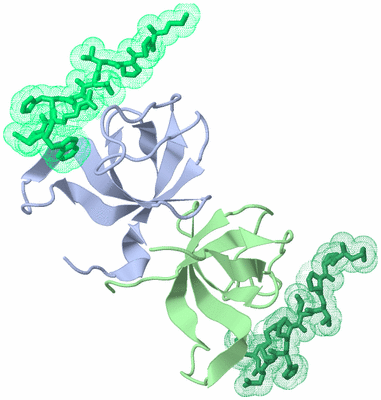 Image Biological Unit 3