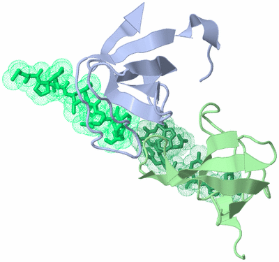 Image Biological Unit 4