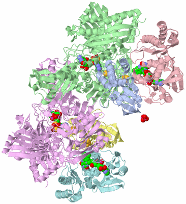 Image Asym./Biol. Unit