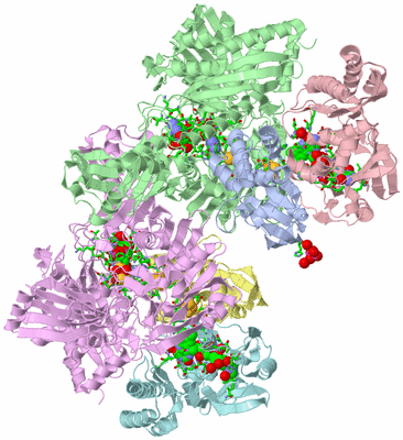 Image Asym./Biol. Unit - sites