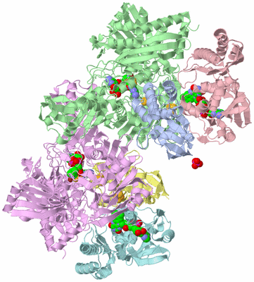 Image Asym./Biol. Unit