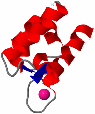 Image NMR Structure - model 1