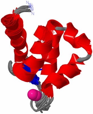 Image NMR Structure - all models