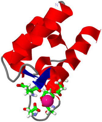 Image NMR Structure - model 1, sites