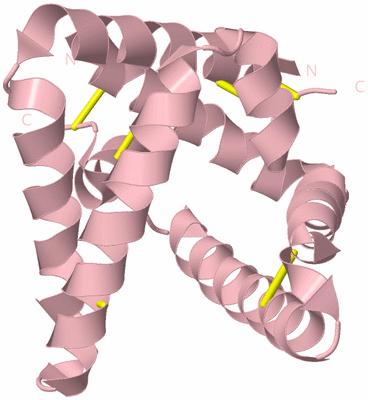 Image Biological Unit 2