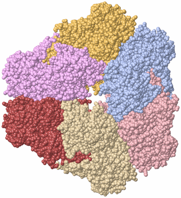 Image Asym./Biol. Unit