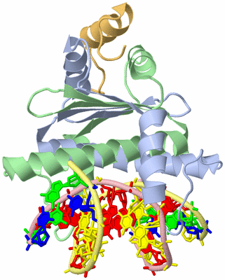 Image Biological Unit 1