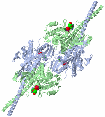 Image Biological Unit 2