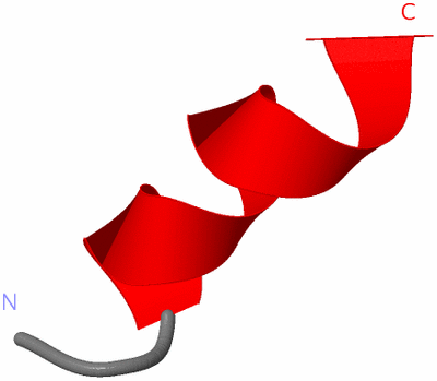 Image NMR Structure - model 1