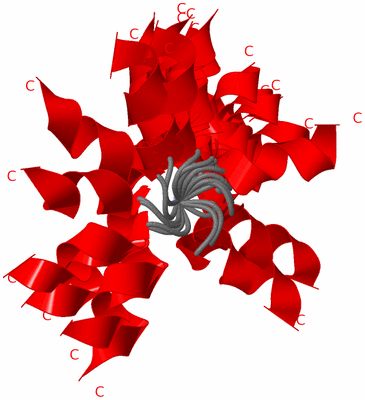 Image NMR Structure - all models