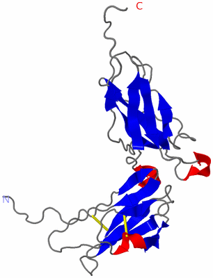 Image NMR Structure - model 1