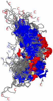 Image NMR Structure - all models