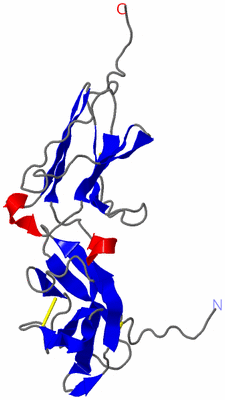 Image NMR Structure - model 1