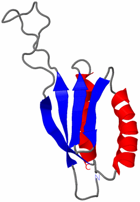 Image NMR Structure - model 1