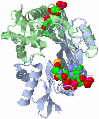 Image Biological Unit 1