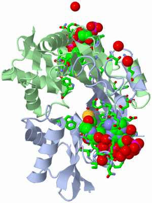 Image Biol. Unit 1 - sites