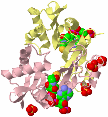 Image Biological Unit 2